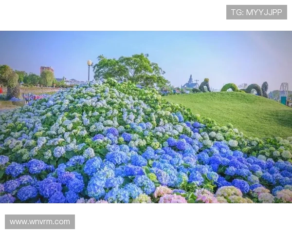 花海王者引领浪漫风潮打造唯美梦幻世界震撼心灵的视觉盛宴 花海王者引领浪漫风潮打造唯美梦幻世界震撼心灵的视觉盛宴
