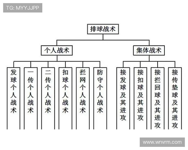 上海排球队的战术解析与控制体系的深度剖析与实践应用 上海排球队的战术解析与控制体系的深度剖析与实践应用