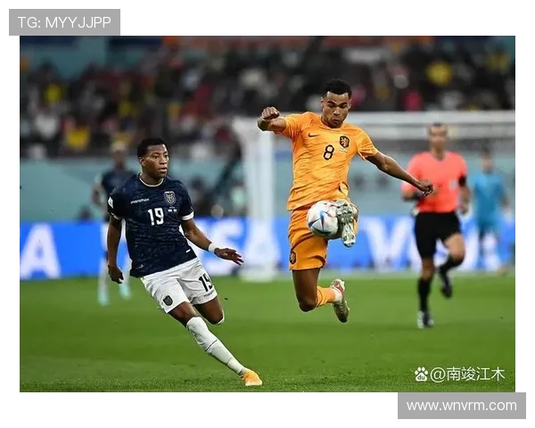 成都足球队以55分领跑世界杯积分榜展现强劲实力