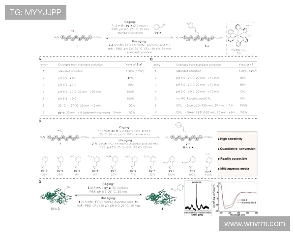 武汉滑板队战术表现的数据分析与策略优化研究